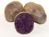 VIOLETTA