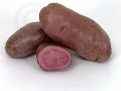 ROTE EMMALIE