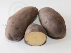 RUSSISCHE SCHWARZE